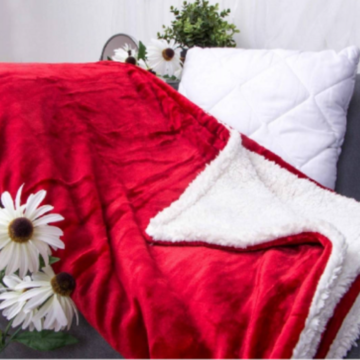 Mikroplyšová deka s beránkem VÍNOVÁ 220x200cm